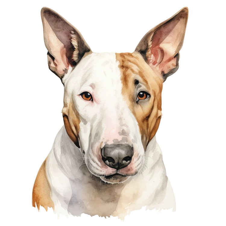 Bull Terrier.png