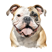 Bulldog.png