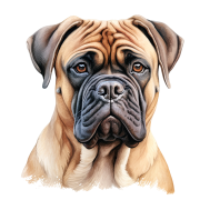 Bullmastiff.png