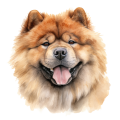 Chow Chow.png