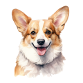 Corgi.png