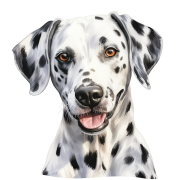 Dalmatian.png