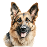 German Shepherd.png