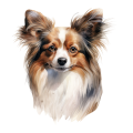 Papillon.png