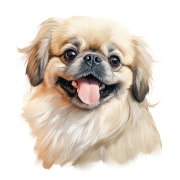 Pekingese.png