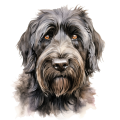 Russian Terrier.png
