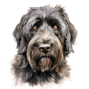 Russian Terrier.png