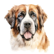 Saint Bernard.png