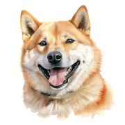 Shiba Inu.png