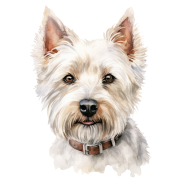 West Highland White Terrier.png