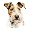 Wire Fox Terrier.png