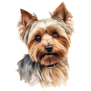 Yorkshire Terrier.png