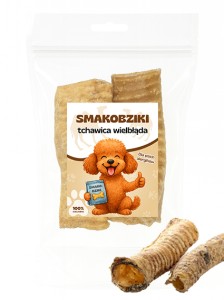 Tchawica wielbłąda