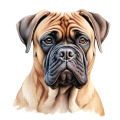 Akwarelowy pies Bullmastiff