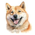 Akwarelowy pies Shiba Inu