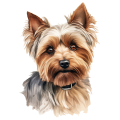 Akwarelowy pies Yorkshire Terrier
