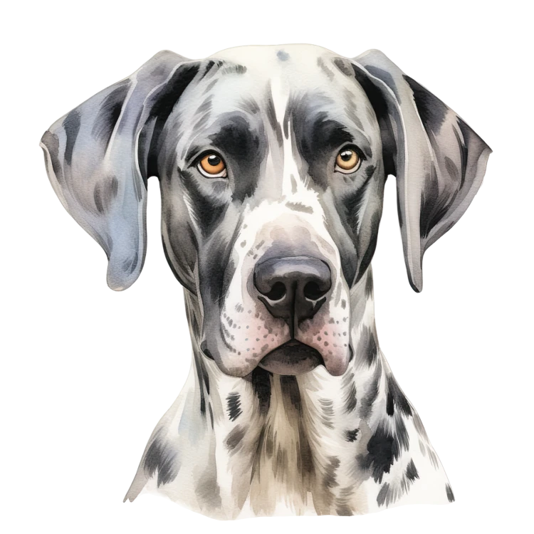 Akwarelowy pies Great Dane