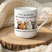 koty sprawiają - 330 ml.jpg