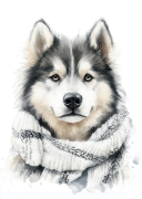Alaskan Malamute.png