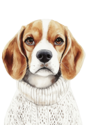 Beagle.png