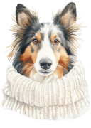 Collie.png