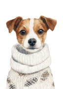 Jack Russell.png