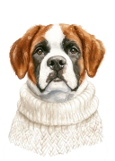 Saint Bernard.png
