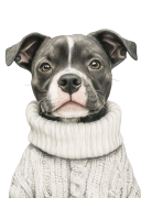 Staffordshire Bull.png