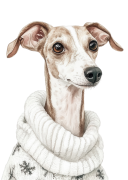 Whippet.png
