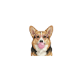 corgi.png