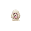 pudel.png