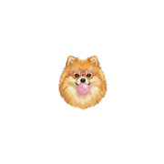 szpic.png