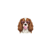 cavalier