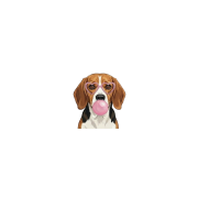 beagle.png