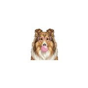 collie.png