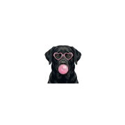 labrador czarny.png