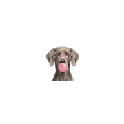 weimarski.png
