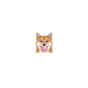 shiba