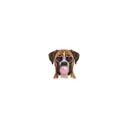 bokser