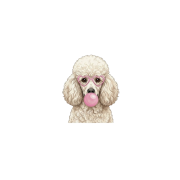 pudel.png