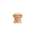 labrador.png