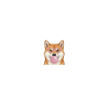shiba