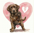piesek na serduszku labrador czekoladowy