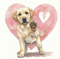 piesek na serduszku labrador