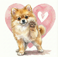 piesek na serduszku pomeranian