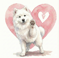 piesek na serduszku samoyed