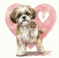 piesek na serduszku shih tzu