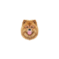 chow chow.png