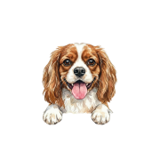 cavalier.png