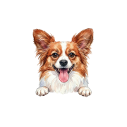 Papillon.png